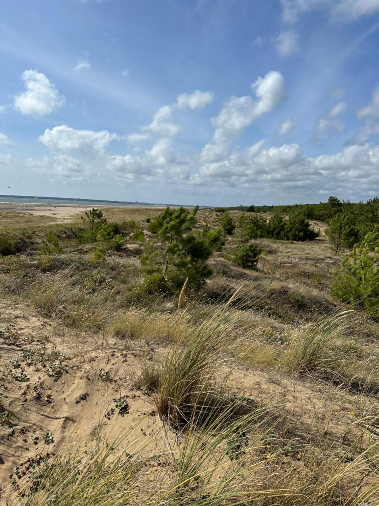 Appartement Au Bord De Mer Saint-Brévin-les-Pins Esterno foto