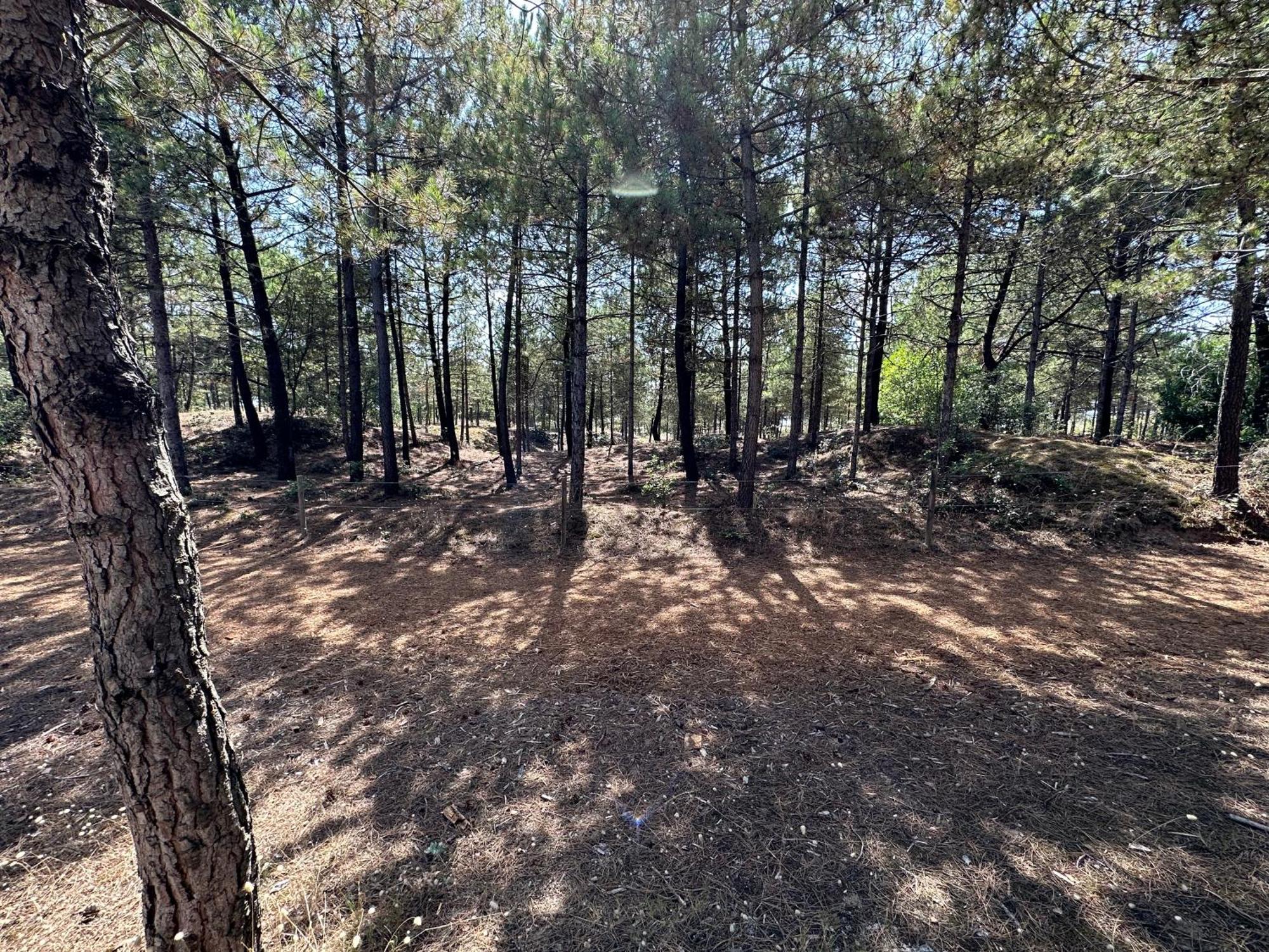 Appartement Au Bord De Mer Saint-Brévin-les-Pins Esterno foto